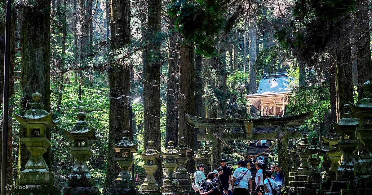 Miyazaki Kumamoto Exploration Tour | Kamishikimi Kumanoza Shrine
